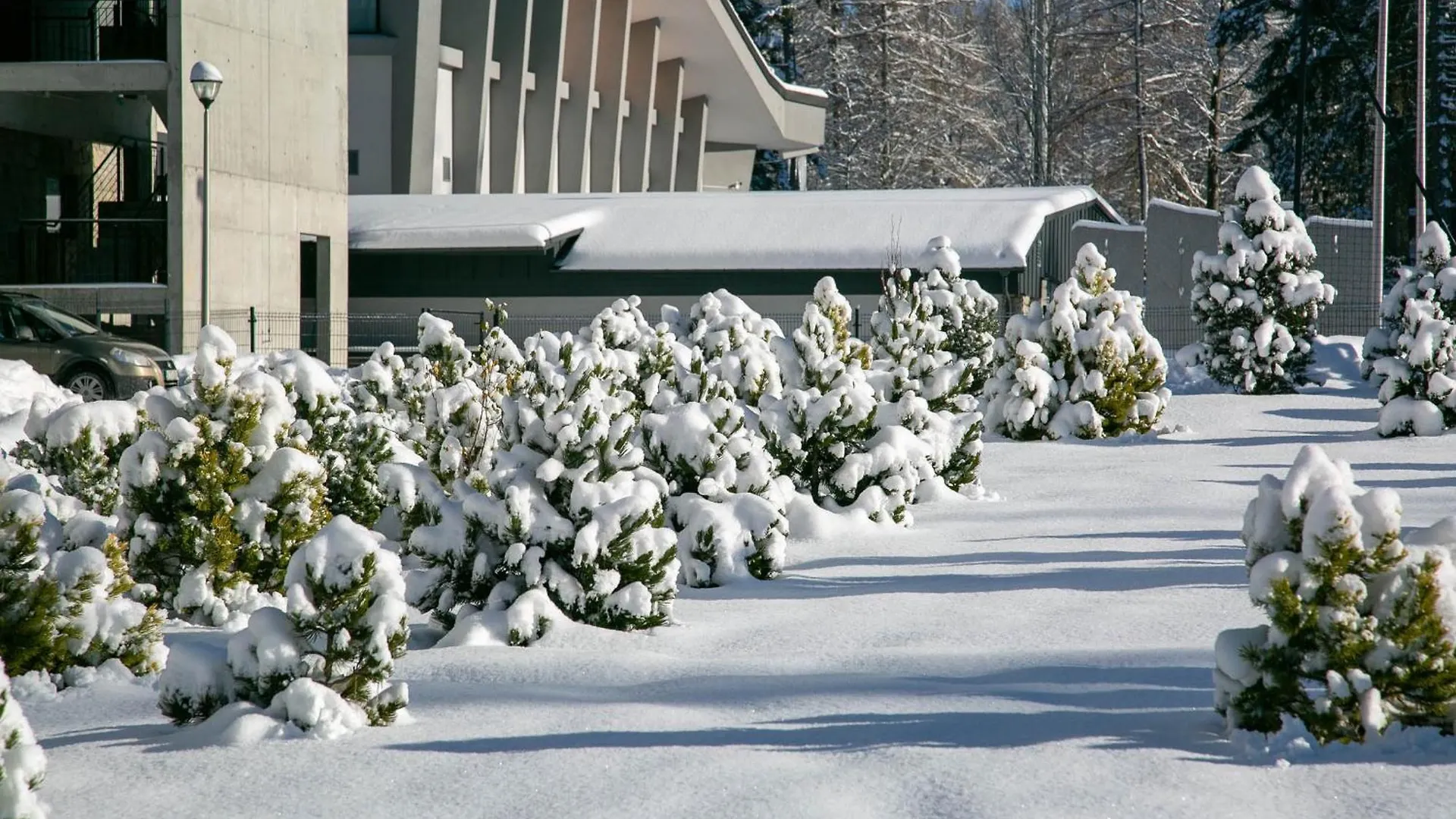 Gorskie Szczyty Apart & Spa Apartament 4 Sauna Jacuzzi I Parking W Cenie! Zakopane